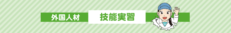 技能実習生受入支援